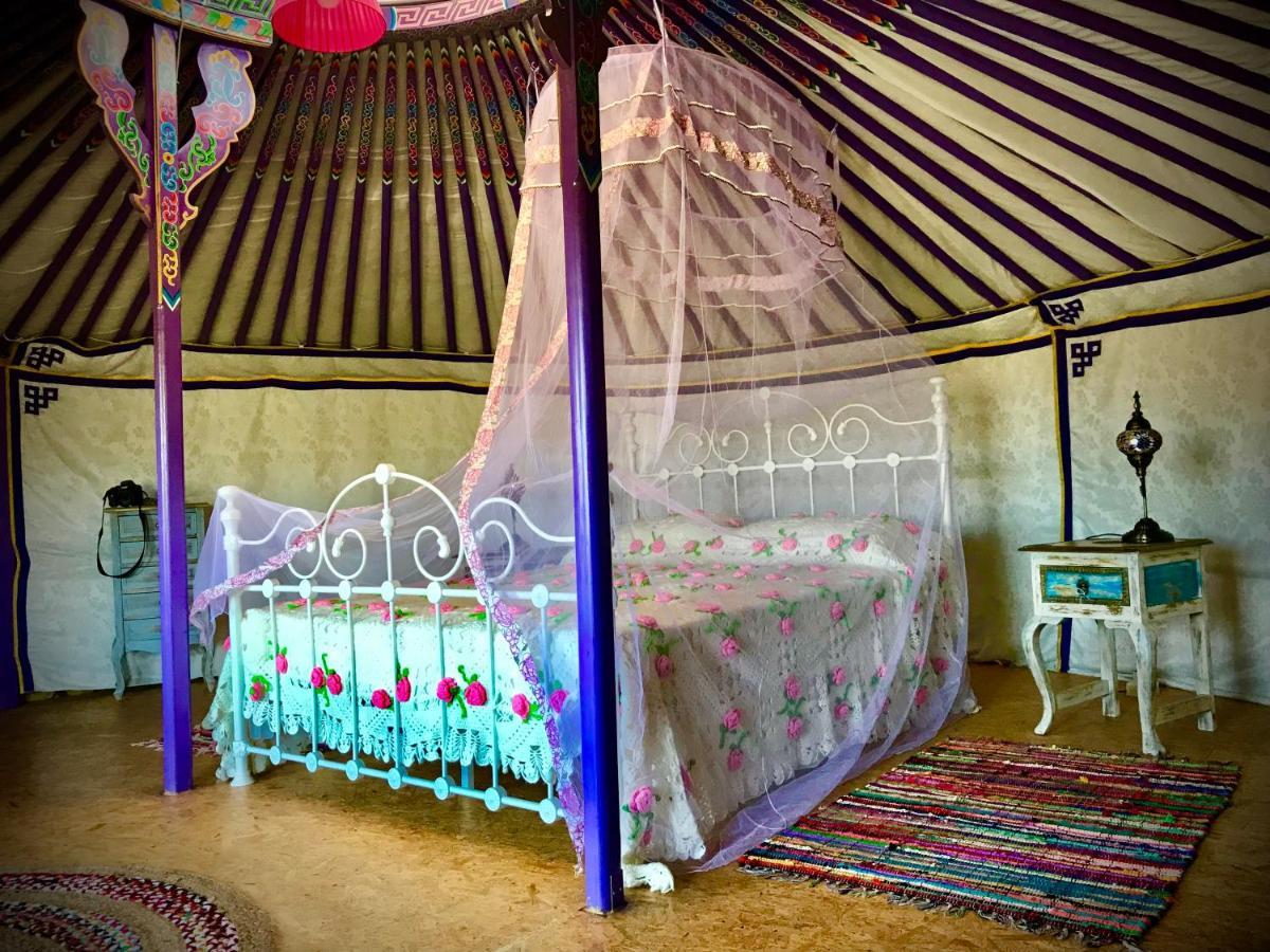 Exclusive Nirvana Yurts Glamping 加藤德雷 外观 照片