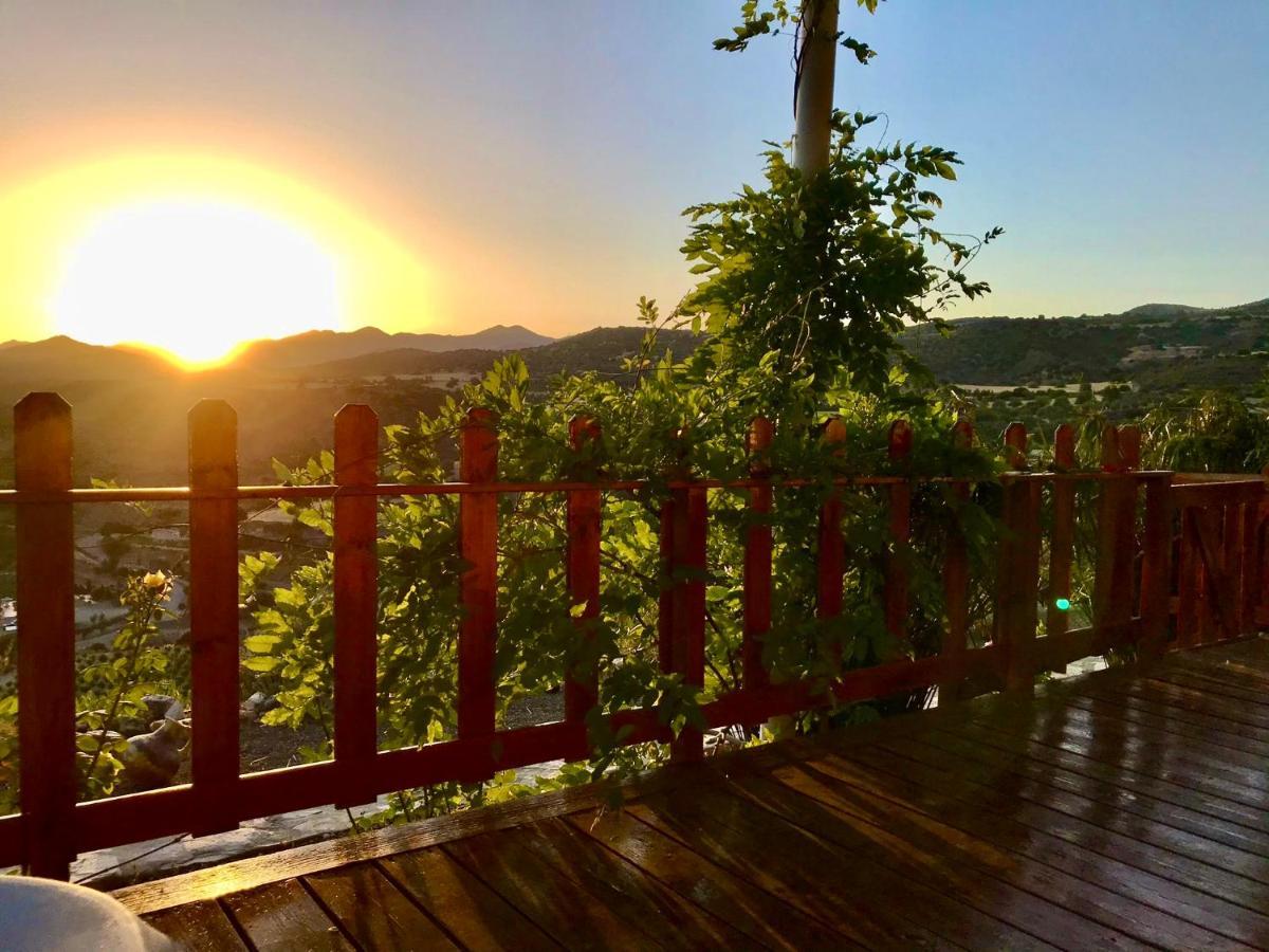 Exclusive Nirvana Yurts Glamping 加藤德雷 外观 照片