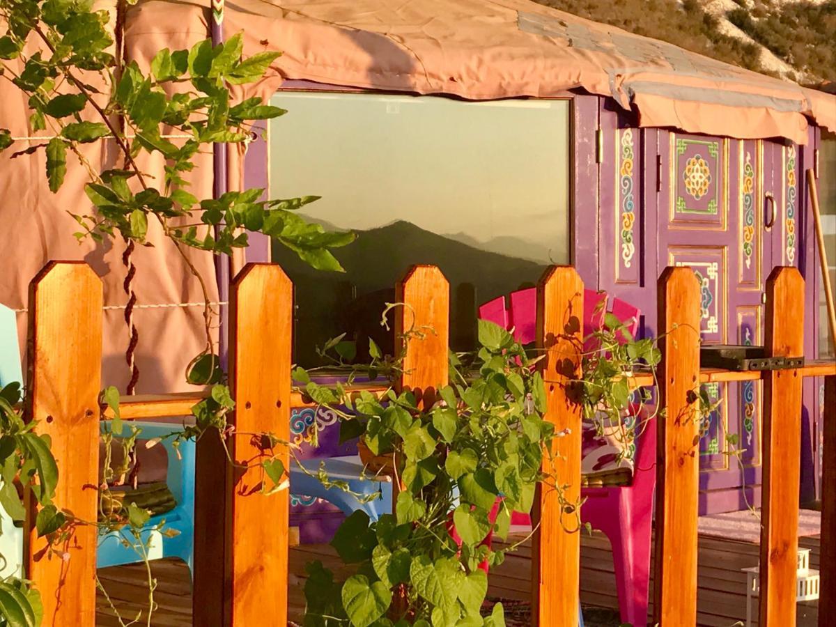 Exclusive Nirvana Yurts Glamping 加藤德雷 外观 照片