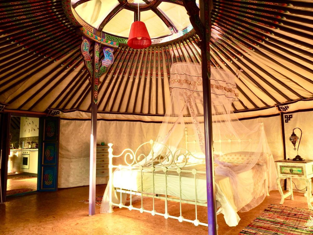 Exclusive Nirvana Yurts Glamping 加藤德雷 外观 照片
